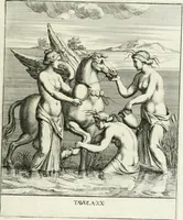 Picture 23 of 39 from Le pitture antiche del sepolcro de Nasonii nella Via Flaminia : disegnate, ed intagliate alla similitudine degli antichi originali (1680), leaf 62