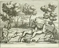 Picture 30 of 39 from Le pitture antiche del sepolcro de Nasonii nella Via Flaminia : disegnate, ed intagliate alla similitudine degli antichi originali (1680), leaf 90