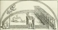 Picture 34 of 39 from Le pitture antiche del sepolcro de Nasonii nella Via Flaminia : disegnate, ed intagliate alla similitudine degli antichi originali (1680), leaf 98