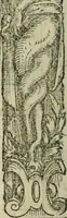 An illustration from Le plaisant iev dv dodechedron de fortune, non moins recreatif, que subtil & ingenieux. Renouuellé & changé de sa premiere edition (1560)