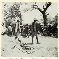 Picture 10 of 14 from Le plateau central Nigâerien: une mission archâeologique et ethnographique au Soudan franðcais (1907), leaf 468