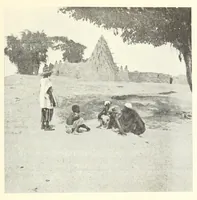 Picture 13 of 14 from Le plateau central Nigâerien: une mission archâeologique et ethnographique au Soudan franðcais (1907), leaf 603