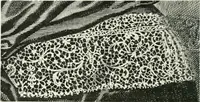 An illustration from Le poinct de France et les centres dentelliers au XVIIe et au XVIIIe siècles; ouvrage orné de quarante-trois illustrations (1905)
