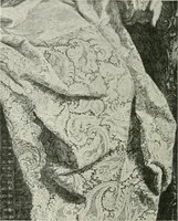 An illustration from Le poinct de France et les centres dentelliers au XVIIe et au XVIIIe siècles; ouvrage orné de quarante-trois illustrations (1905)
