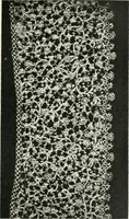 An illustration from Le poinct de France et les centres dentelliers au XVIIe et au XVIIIe siècles; ouvrage orné de quarante-trois illustrations (1905)