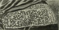 An illustration from Le poinct de France et les centres dentelliers au XVIIe et au XVIIIe siècles; ouvrage orné de quarante-trois illustrations (1905)