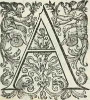 An illustration from Le pompe del Campidoglio per la sta. di N.S. Vrbano VIII. : quando pigliò possesso (1624)