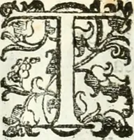 An illustration from Le pompe funebri celebrate da' Signori Accademici Infecondi di Roma per la morte dell'illustrissima Signora Elena Lucrezia Cornara Piscopia accademica, detta l'Inalterabile (1686)
