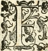 An illustration from Le pompe funebri celebrate da' Signori Accademici Infecondi di Roma per la morte dell'illustrissima Signora Elena Lucrezia Cornara Piscopia accademica, detta l'Inalterabile (1686)