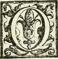 An illustration from Le pompe funebri celebrate da' Signori Accademici Infecondi di Roma per la morte dell'illustrissima Signora Elena Lucrezia Cornara Piscopia accademica, detta l'Inalterabile (1686)
