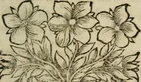 An illustration from Le poëte sincere, ou Les veritez du siecle: poëme heroi-comique (1698)