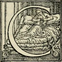 Picture 39 of 94 from Le prime imprese del conte Orlando (1572), leaf 94