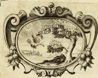 An illustration from Le pubbliche dimostrazioni di allegrezza della città di Milano : alli 10. febraio, e 6. marzo dell'anno 1658, nella nascita del serenissimo principe di Spagna Filippo Prospero (1659)