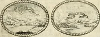 Picture 29 of 33 from Le pubbliche dimostrazioni di allegrezza della città di Milano : alli 10. febraio, e 6. marzo dell'anno 1658, nella nascita del serenissimo principe di Spagna Filippo Prospero (1659), leaf 34