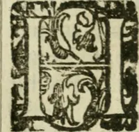 An illustration from Le relationi vniversali (1617)