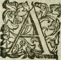 Picture 13 of 71 from Le relationi vniversali (1617), leaf 252