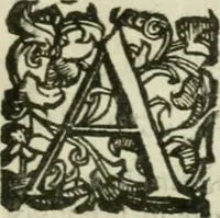 An illustration from Le relationi vniversali (1617)