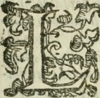 An illustration from Le relationi vniversali (1617)