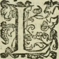 An illustration from Le relationi vniversali (1617)