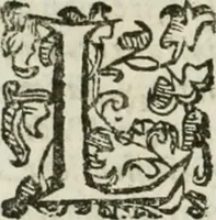 An illustration from Le relationi vniversali (1617)