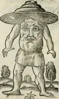 Picture 34 of 71 from Le relationi vniversali (1617), leaf 731
