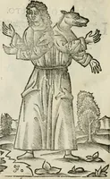 Picture 36 of 71 from Le relationi vniversali (1617), leaf 735