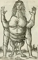 Picture 39 of 71 from Le relationi vniversali (1617), leaf 741