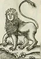 An illustration from Le relationi vniversali (1617)