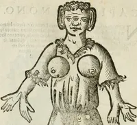 An illustration from Le relationi vniversali (1617)