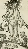 An illustration from Le relationi vniversali (1617)