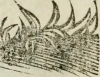 Picture 45 of 71 from Le relationi vniversali (1617), leaf 751