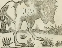 An illustration from Le relationi vniversali (1617)