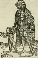 Picture 58 of 71 from Le relationi vniversali (1617), leaf 776