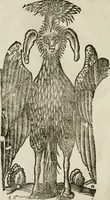 Picture 59 of 71 from Le relationi vniversali (1617), leaf 779