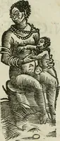 Picture 60 of 71 from Le relationi vniversali (1617), leaf 780