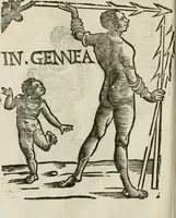 Picture 61 of 71 from Le relationi vniversali (1617), leaf 781