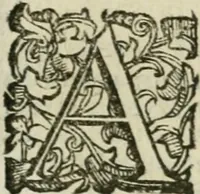 An illustration from Le relationi vniversali (1617)