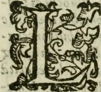 An illustration from Le relationi vniversali (1617)