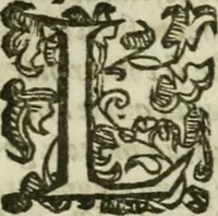 An illustration from Le relationi vniversali (1617)