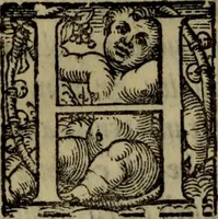 Picture 22 of 38 from Le risposte cavalleresche (1550), leaf 113