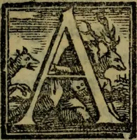 Picture 26 of 38 from Le risposte cavalleresche (1550), leaf 156