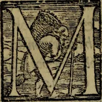 Picture 28 of 38 from Le risposte cavalleresche (1550), leaf 163