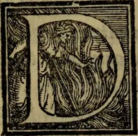 Picture 34 of 38 from Le risposte cavalleresche (1550), leaf 219