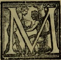 Picture 35 of 38 from Le risposte cavalleresche (1550), leaf 224
