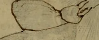 An illustration from Le risposte cavalleresche (1550)