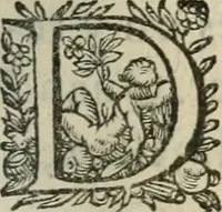 Picture 31 of 88 from Le romant des chevaliers de la gloire (1612), leaf 116