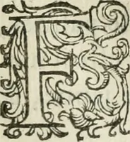 An illustration from Le romant des chevaliers de la gloire (1612)