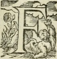 Picture 33 of 88 from Le romant des chevaliers de la gloire (1612), leaf 119