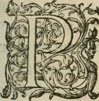An illustration from Le romant des chevaliers de la gloire (1612)