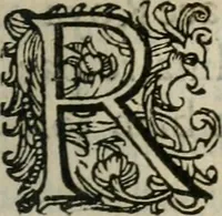 Picture 46 of 88 from Le romant des chevaliers de la gloire (1612), leaf 156